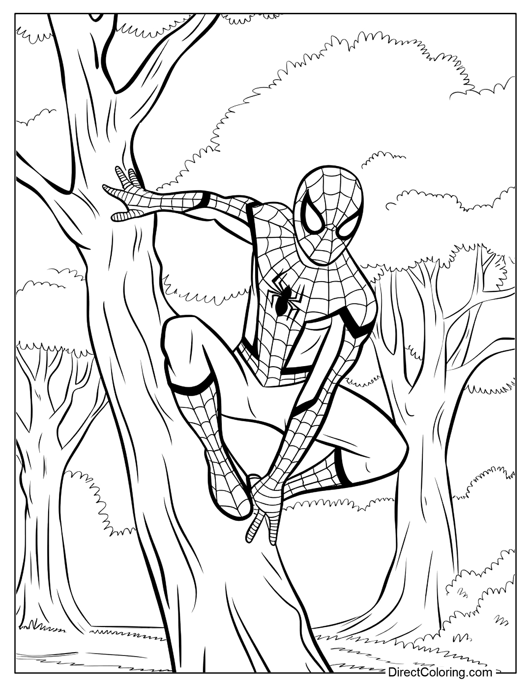 Free Spiderman Climbing a Tree Color Page